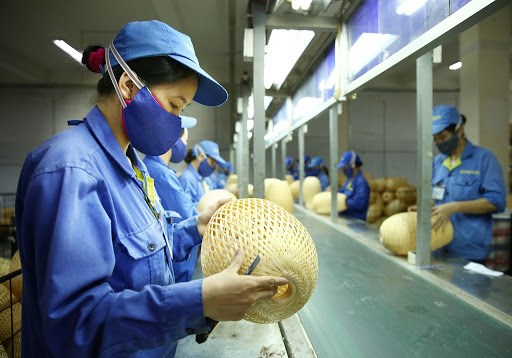 Bao quát hết doanh thu làm cơ sở giảm thuế thu nhập doanh nghiệp phải nộp năm 2020