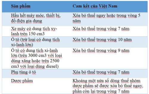 Cam kết mở cửa thị trường hàng hóa của Việt Nam trong EVFTA - Ảnh 1