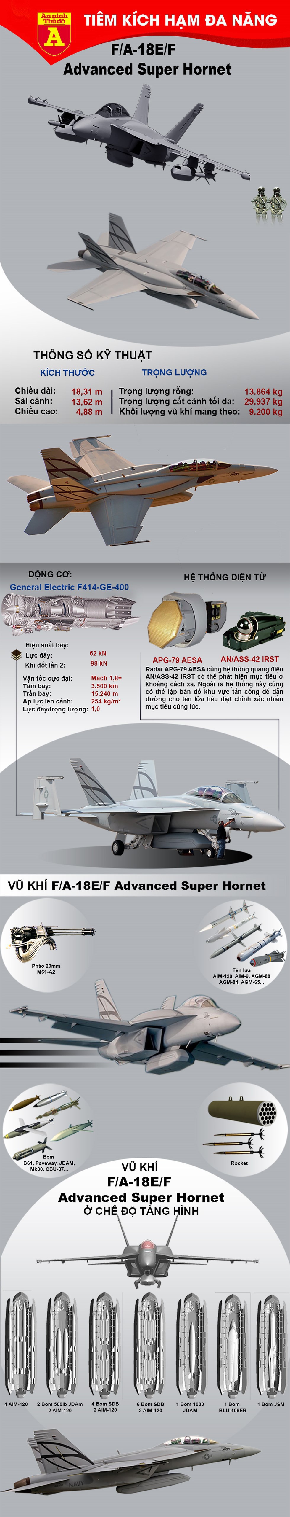 [Infographics] Đức gạt bỏ F-15, F-35 để lựa chọn F/A-18E/F Advanced Super Hornet - Ảnh 1