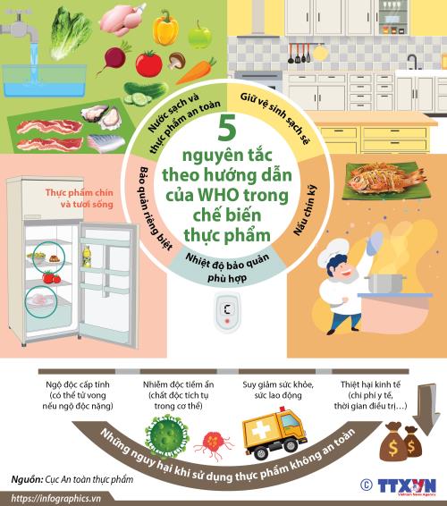 Infographic 5 Nguyên Tắc Theo Hướng Dẫn Của Who Trong Chế Biến Thực Phẩm Tạp Chí Tài Chính 3766