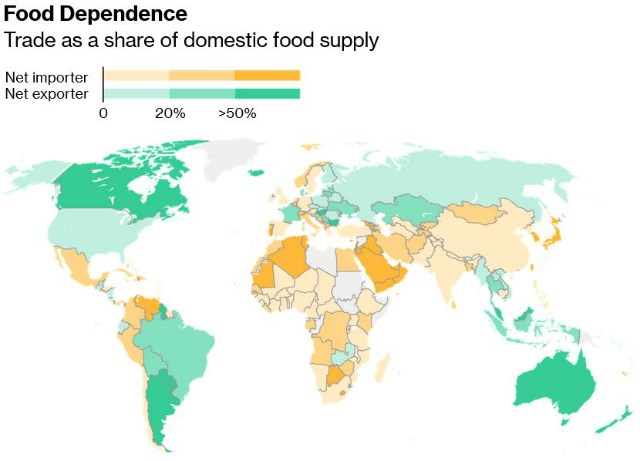 Bản đồ c&aacute;c nước xuất nhập khẩu lương thực lớn tr&ecirc;n thế giới. Ảnh: FAO/Bloomberg.&nbsp;