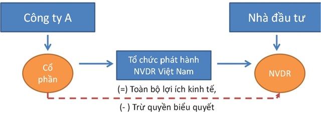 Chứng chỉ lưu k&yacute; kh&ocirc;ng c&oacute; quyền biểu quyết (NVDR Việt Nam) theo Luật Doanh nghiệp.