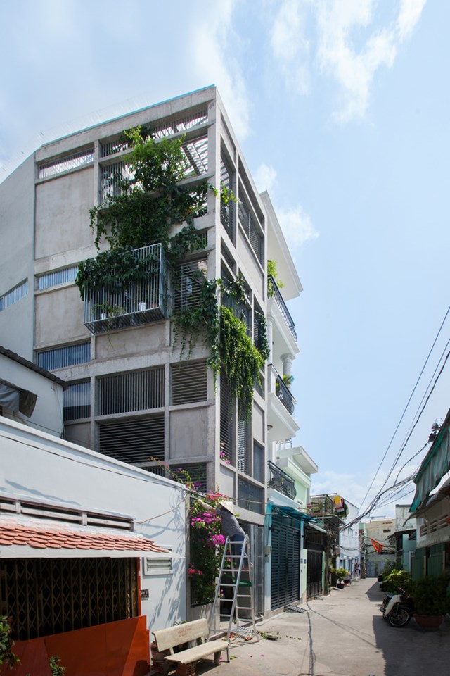 Bản thiết kế "có một không hai" của ngôi nhà ở TP. Hồ Chí Minh - Ảnh 3