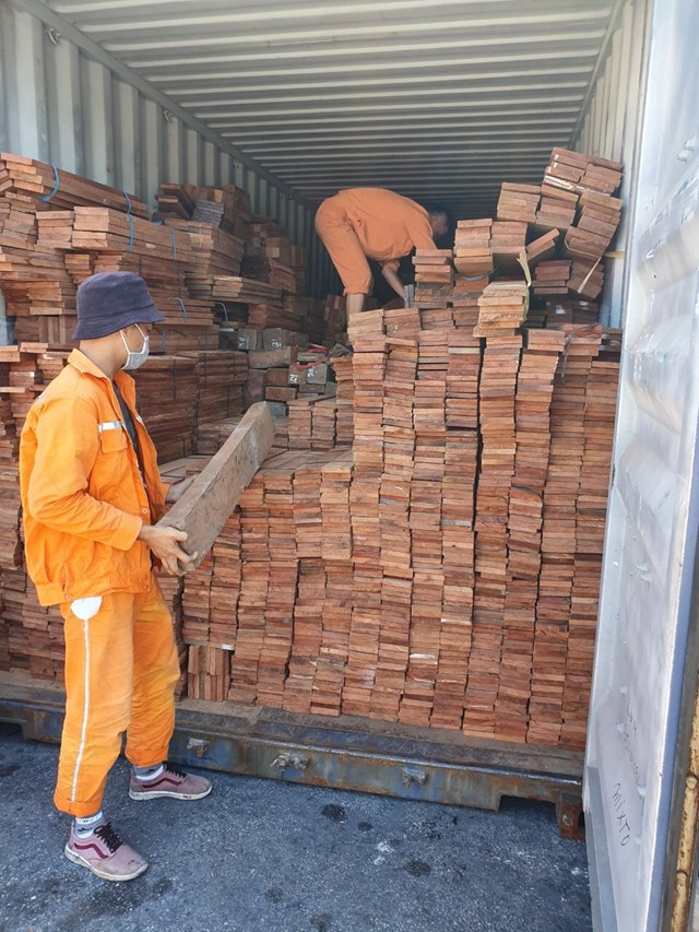 Hải quan Hải Phòng: Bắt lượng lớn gỗ quý nhập lậu - Ảnh 1