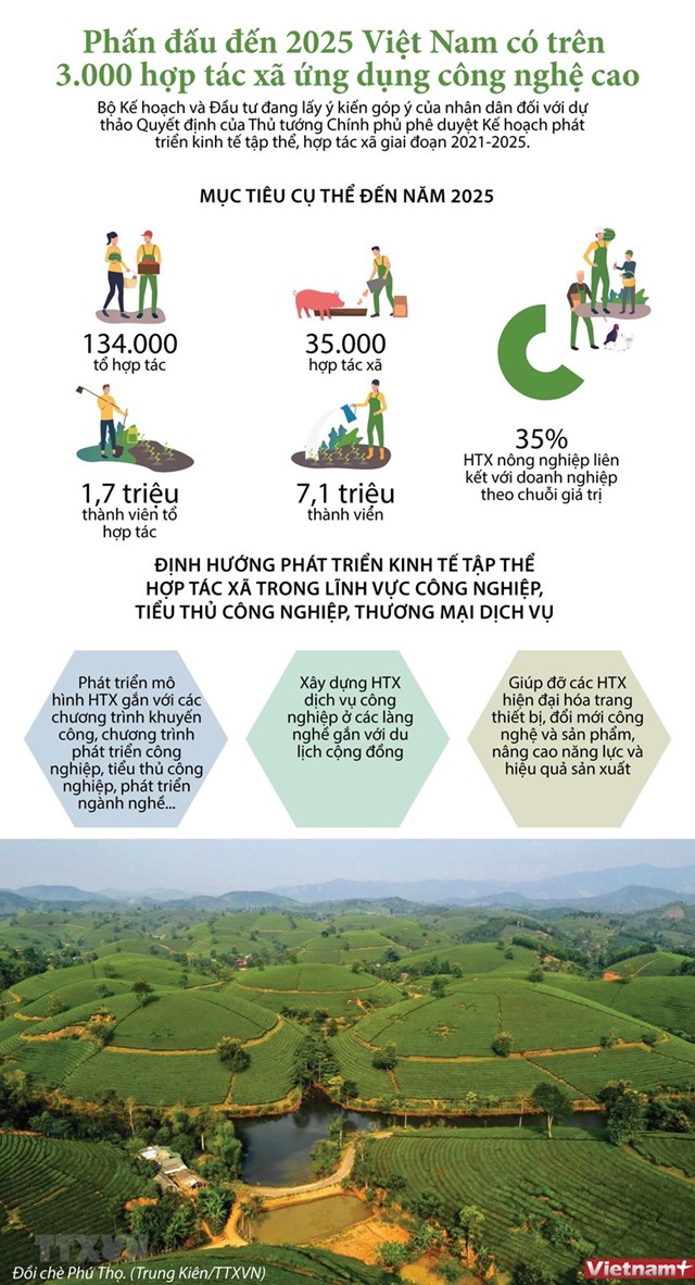 [Infographics] Phấn đấu đến 2025, Việt Nam có hơn 3.000 hợp tác xã ứng dụng công nghệ cao - Ảnh 1