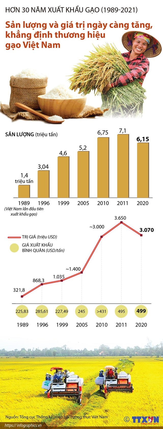 [Infographics] Sản lượng và giá trị gia tăng, khẳng định thương hiệu gạo Việt Nam - Ảnh 1