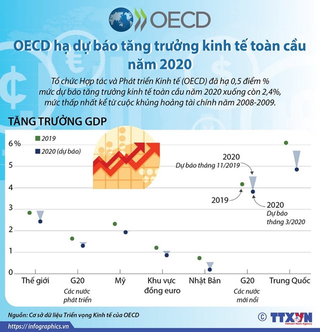 [Infographics] OECD hạ dự báo tăng trưởng kinh tế toàn cầu năm 2020 - Ảnh 1