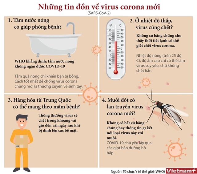 [Infographics] Những tin đồn về chủng virus corona mới  - Ảnh 1