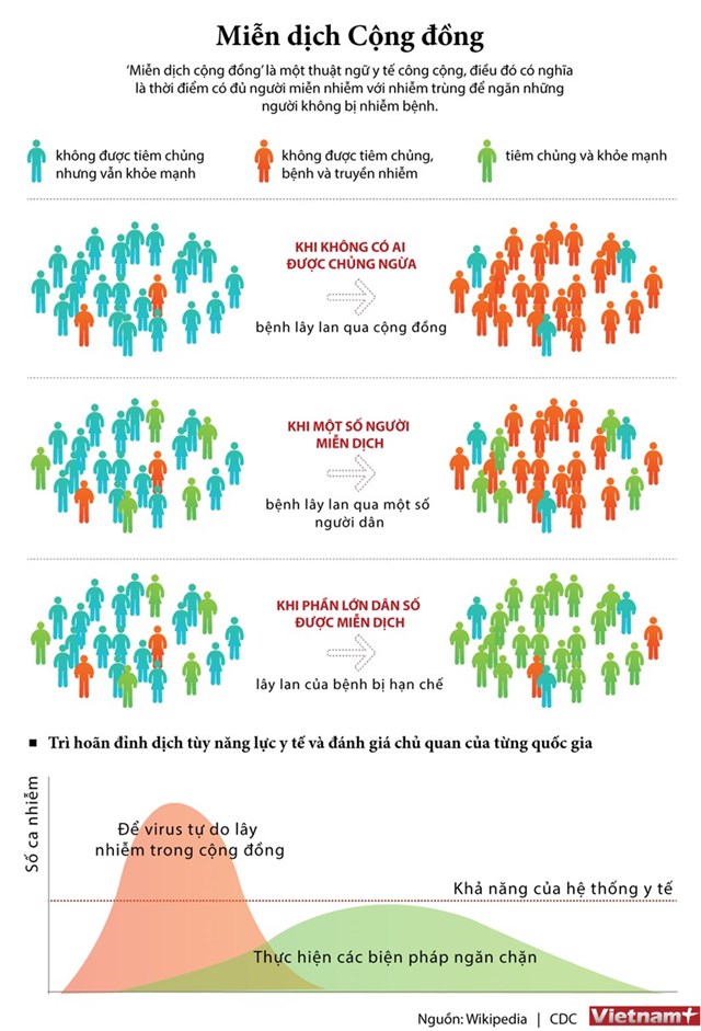 [Infographics] Tìm hiểu về thuật ngữ y tế "miễn dịch cộng đồng" - Ảnh 1