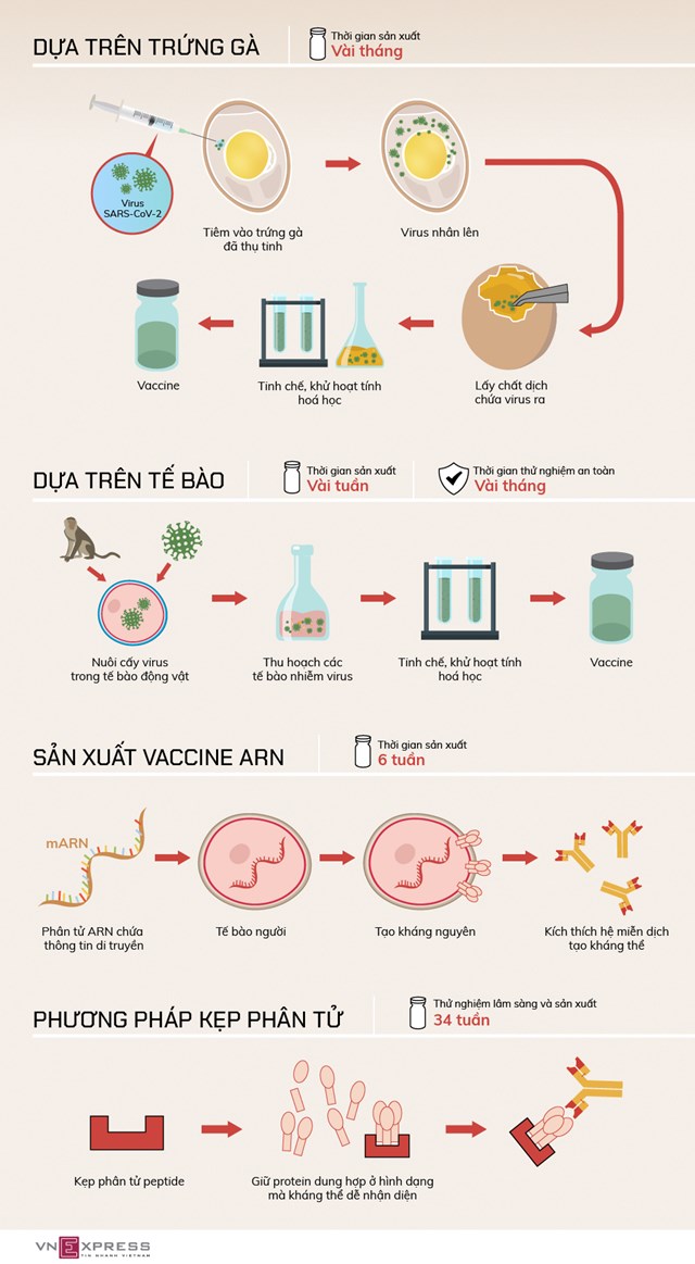 [Infographics] Các phương pháp hứa hẹn trong phát triển vaccine nCoV - Ảnh 1