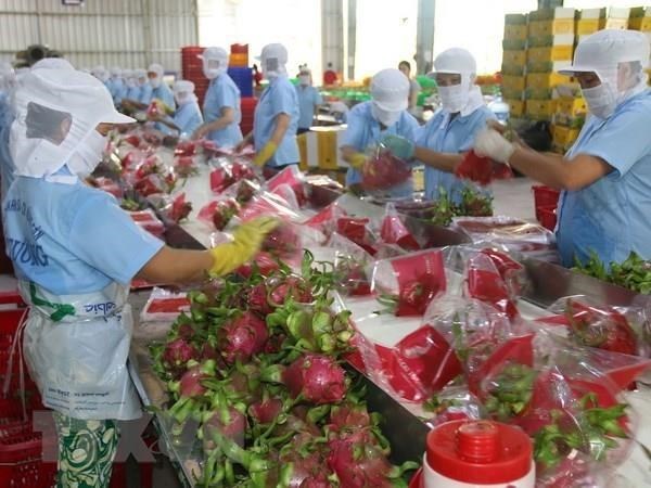 Sản phẩm nông lâm thủy sản Việt được mở rộng trên 180 thị trường - Ảnh 1