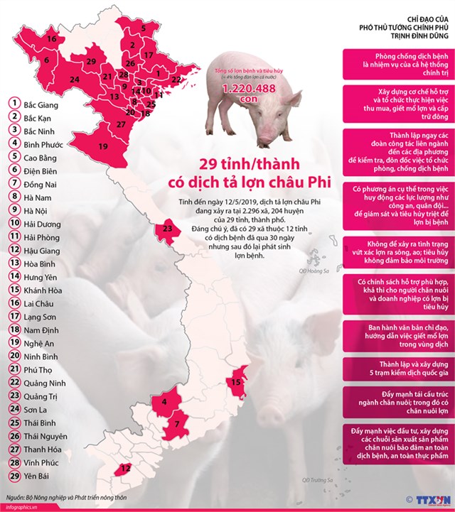 29 tỉnh/thành có dịch tả lợn châu Phi - Ảnh 1