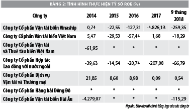 Thực trạng tài chính các công ty vận tải biển thuộc Tổng công ty hàng hải Việt Nam - Ảnh 2