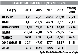 Thực trạng tài chính các công ty vận tải biển thuộc Tổng công ty hàng hải Việt Nam - Ảnh 3
