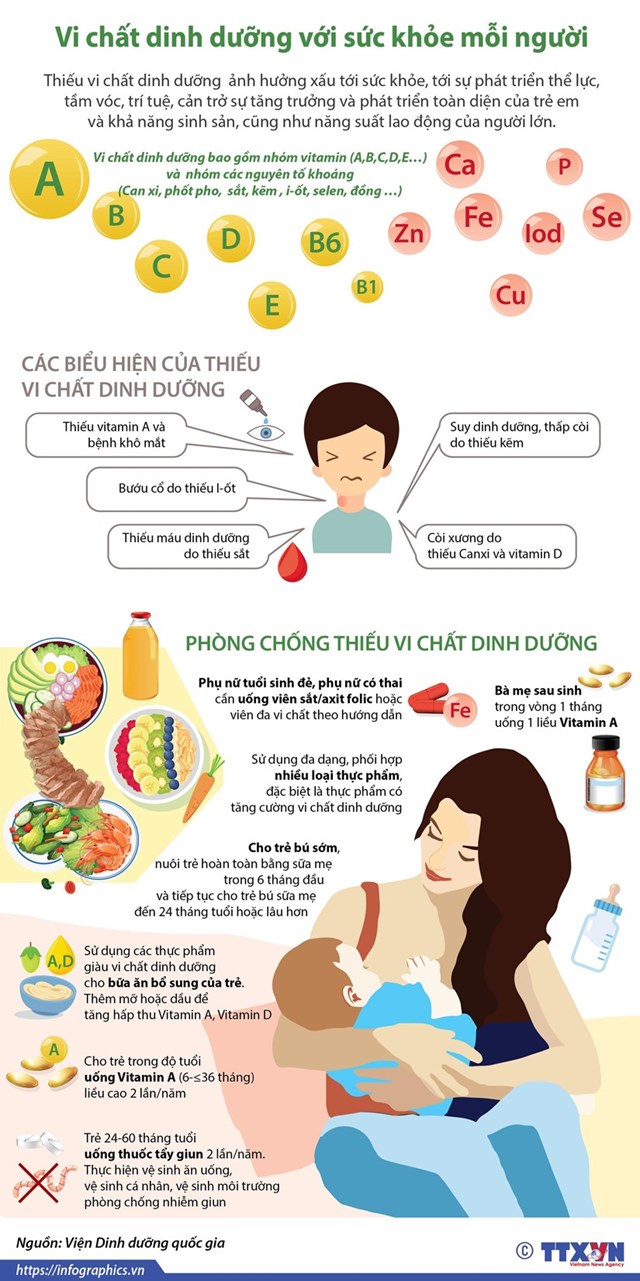 [Infographics] Vi chất dinh dưỡng với sức khỏe mỗi người - Ảnh 1