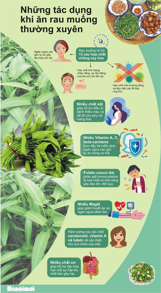 [Infographics] Những tác dụng khi ăn rau muống thường xuyên - Ảnh 1