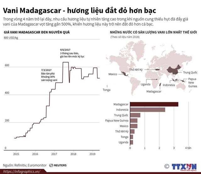[Infographics] Vani Madagascar - hương liệu đắt đỏ hơn bạc - Ảnh 1