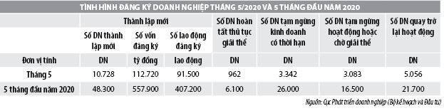 Số liệu đăng ký doanh nghiệp và thu hút đầu tư trực tiếp nước ngoài vào Việt Nam tháng 5/2020 - Ảnh 1