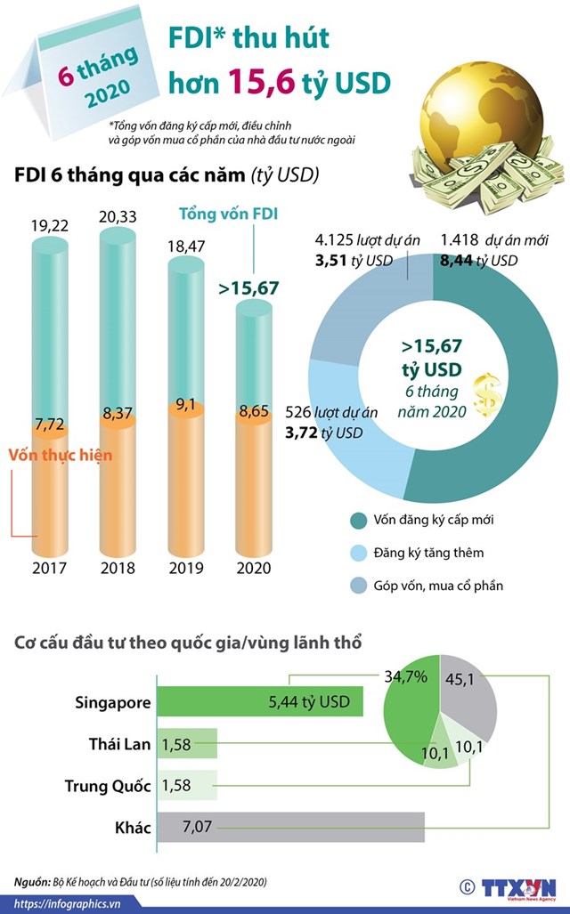 [Infographics] Thu hút FDI đạt hơn 15,6 tỷ USD trong 6 tháng đầu năm - Ảnh 1