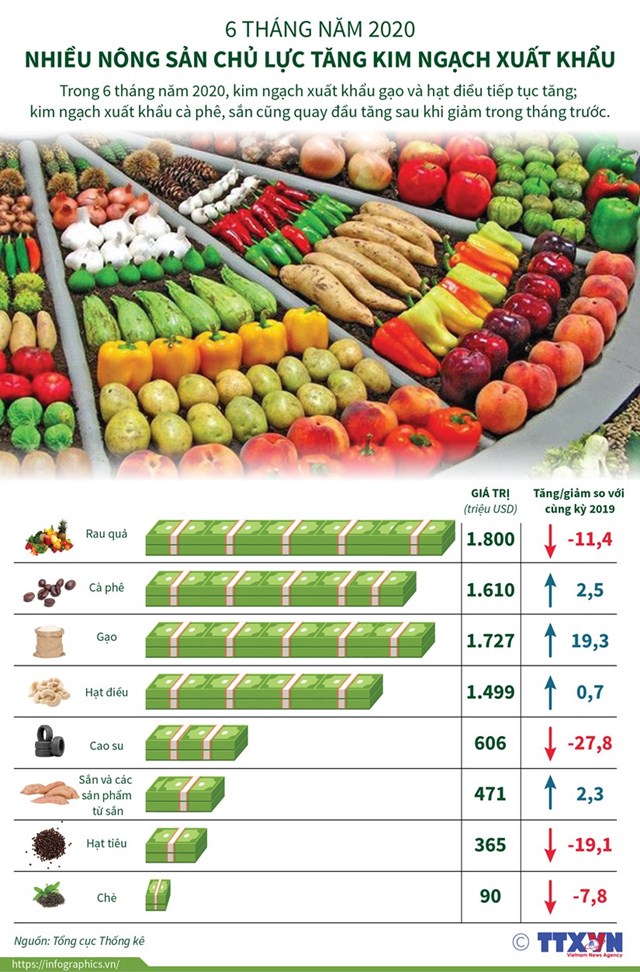 [Infographics] Nhiều nông sản chủ lực tăng kim ngạch xuất khẩu - Ảnh 1