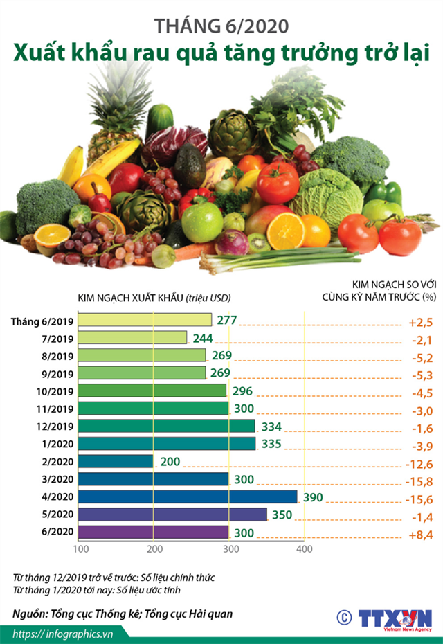 [Infographics] Tháng 6/2020: Xuất khẩu rau quả tăng trưởng trở lại - Ảnh 1