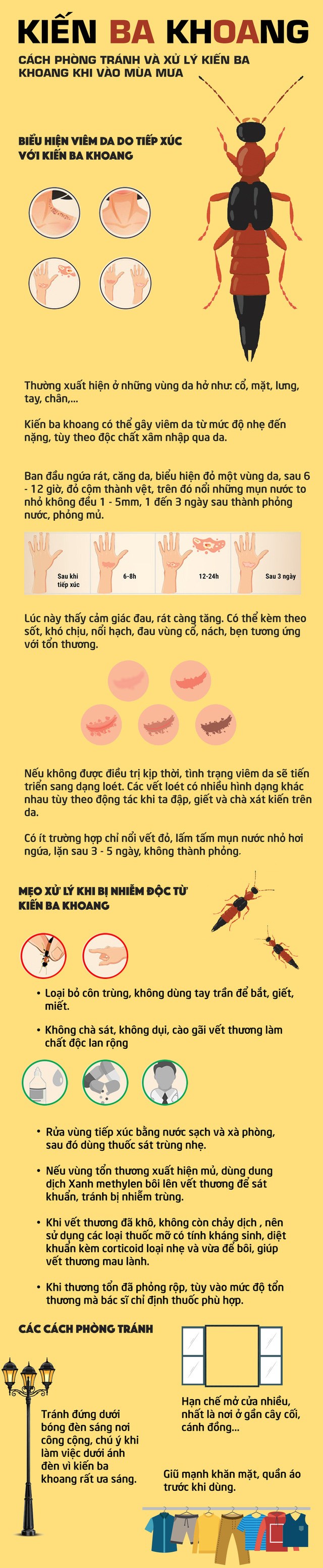 [Infographics] Mẹo phòng tránh và xử trí kiến ba khoang khi vào mùa mưa - Ảnh 1
