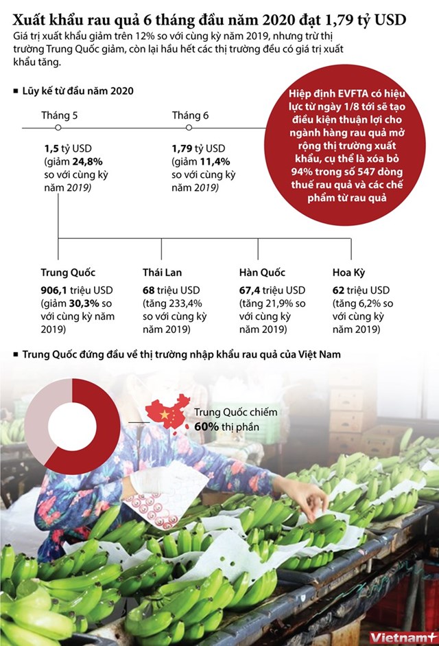 [Infographics] Xuất khẩu rau quả 6 tháng đầu năm 2020 đạt 1,79 tỷ USD - Ảnh 1