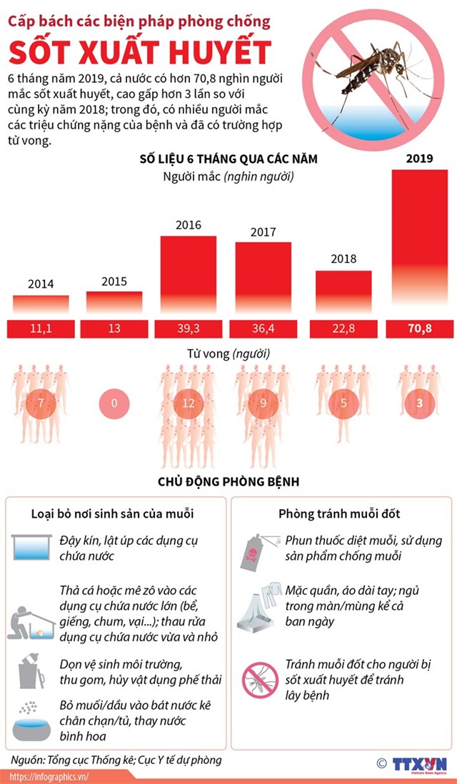 [Infographics] Cấp bách các biện pháp phòng chống sốt xuất huyết - Ảnh 1