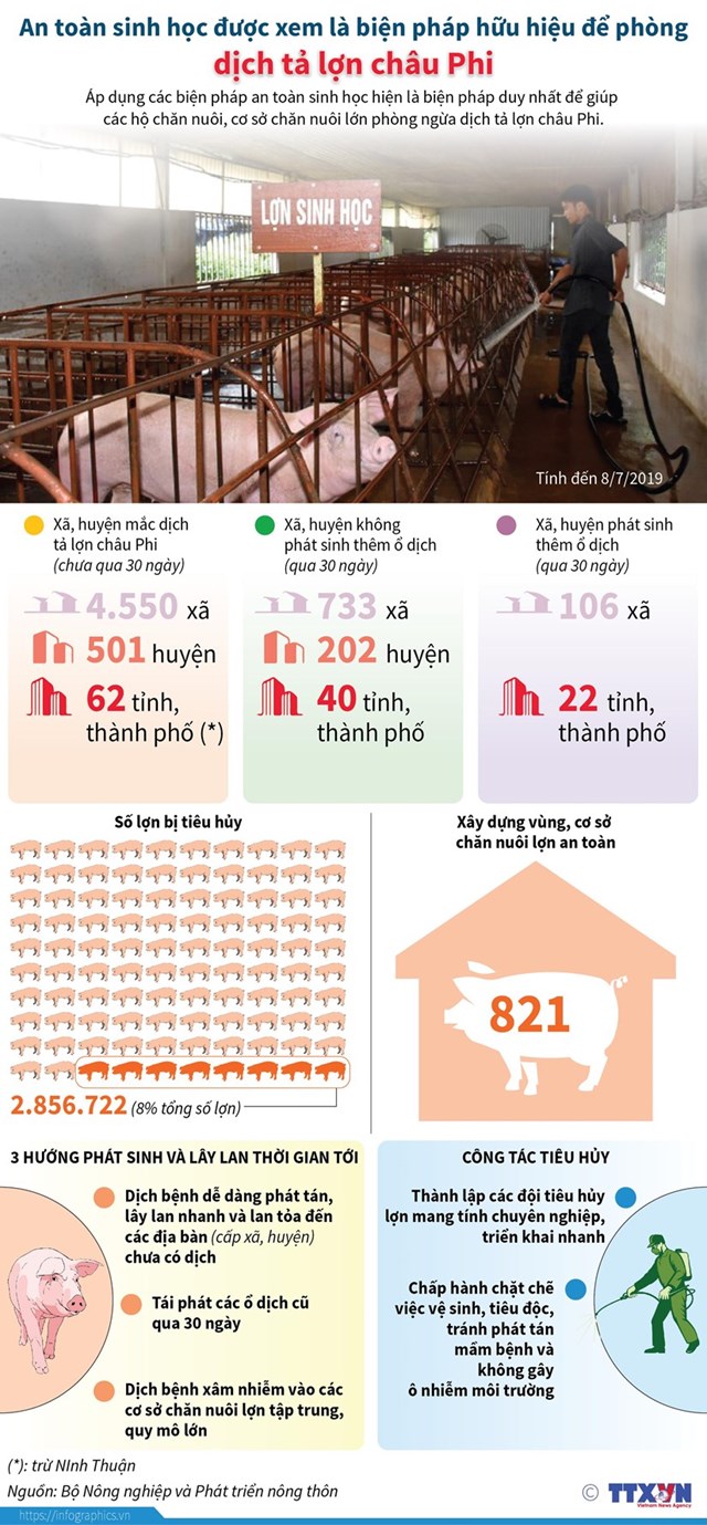 [Infographics] An toàn sinh học là biện pháp hữu hiệu để phòng dịch tả lợn châu Phi - Ảnh 1