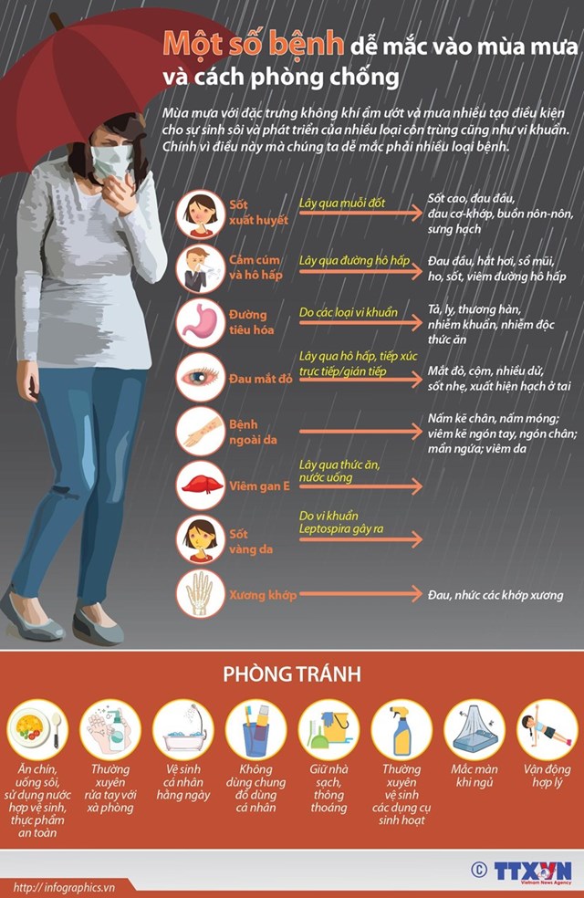 [Infographics] Một số bệnh dễ mắc vào mùa mưa và cách phòng chống - Ảnh 1
