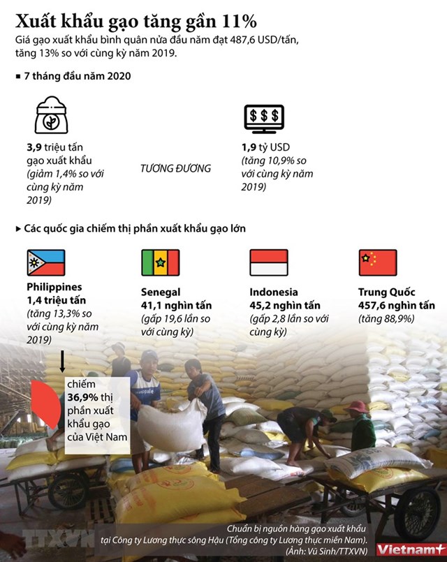 [Infographics] Xuất khẩu gạo trong 7 tháng đầu năm tăng gần 11% - Ảnh 1