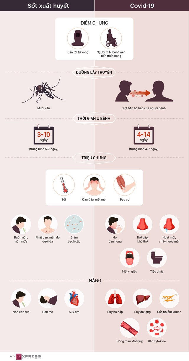 [Infographics] Phân biệt triệu chứng Covid-19 và sốt xuất huyết - Ảnh 1