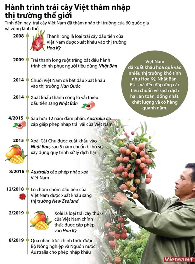 [Infographics] Hành trình xuất ngoại của trái cây đặc sản Việt Nam - Ảnh 1