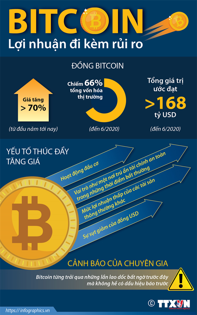 Bitcoin - Lợi nhuận đi kèm rủi ro - Ảnh 1