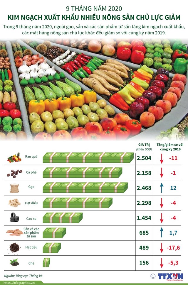 [Infographics] Kim ngạch xuất khẩu nhiều nông sản chủ lực giảm - Ảnh 1