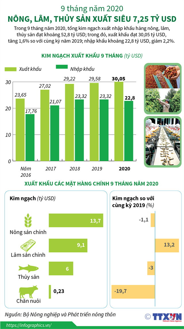 [Infographics] 9 tháng năm 2020: Nông, lâm, thủy sản xuất siêu 7,25 tỷ USD - Ảnh 1