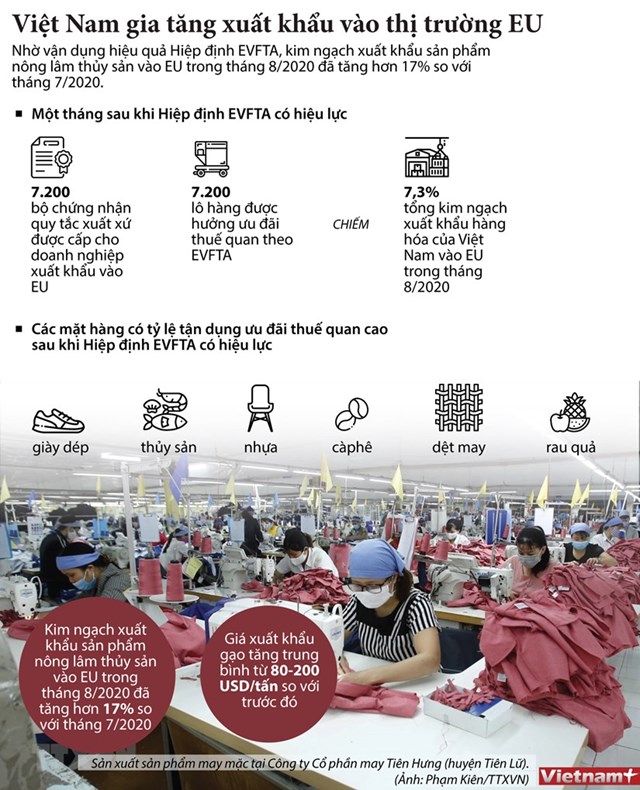 [Infographics] Việt Nam gia tăng xuất khẩu vào thị trường EU - Ảnh 1