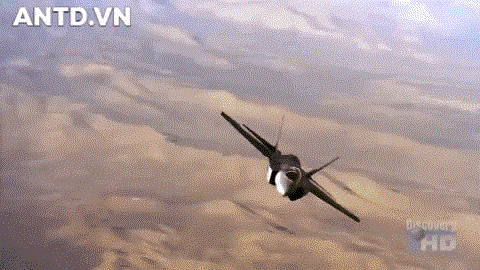 F-35B l&agrave; phi&ecirc;n bản kiểu m&aacute;y bay cất c&aacute;nh đường bay ngắn v&agrave; hạ c&aacute;nh (STOVL- Short Take-off Vertical Landing).