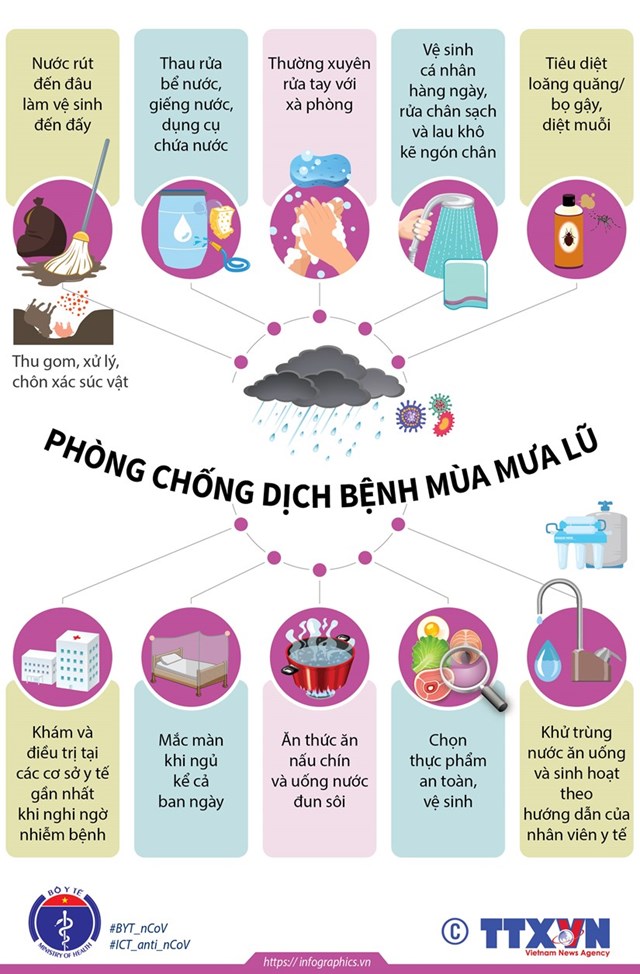 [Infographics] Chủ động phòng chống dịch bệnh trong mùa mưa lũ - Ảnh 1
