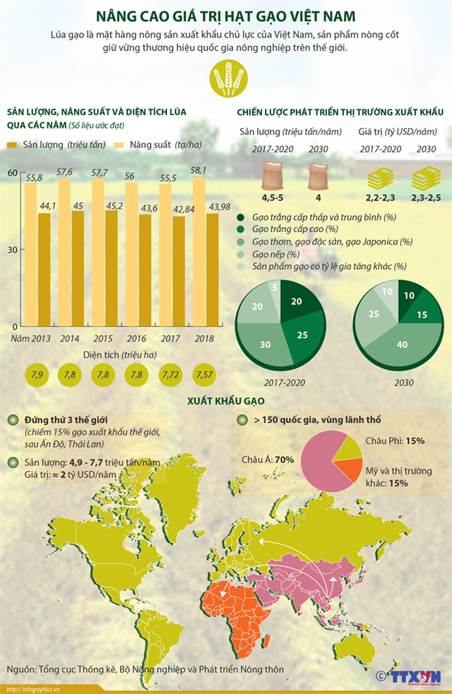 [Infographics] Nâng cao giá trị hạt gạo Việt Nam - Ảnh 1