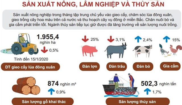 [Infographic] Tình hình kinh tế Việt Nam tháng 1/2020 - Ảnh 2