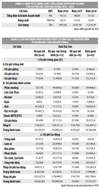Đánh giá hiệu quả kinh tế của cây bưởi tại huyện Bắc Sơn, tỉnh Lạng Sơn - Ảnh 1