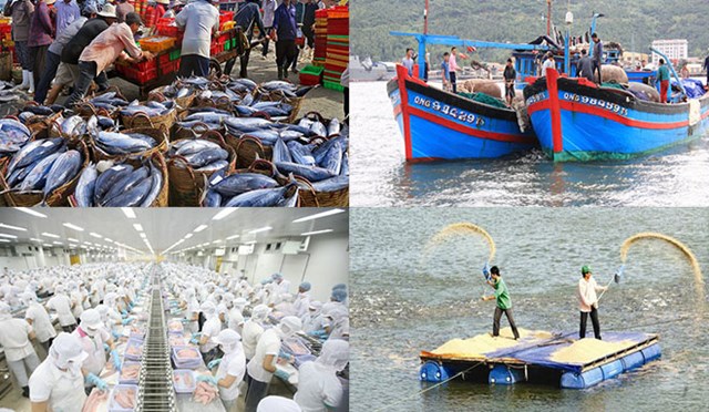 Xuất khẩu thủy sản sang EU kh&ocirc;ng c&oacute; &yacute; nghĩa nhiều về kinh tế nhưng l&agrave; danh dự của Việt Nam.