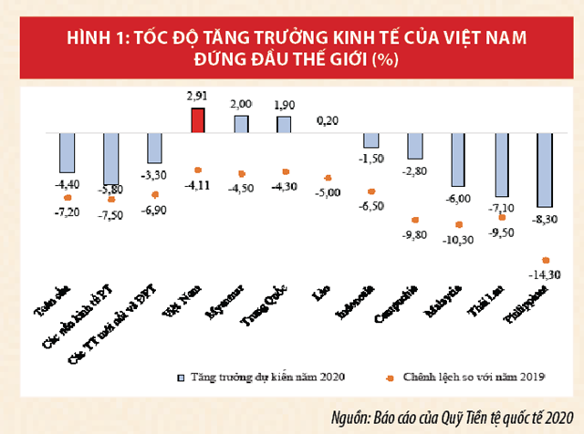Kinh tế Việt Nam năm 2020 và triển vọng năm 2021 - Ảnh 1
