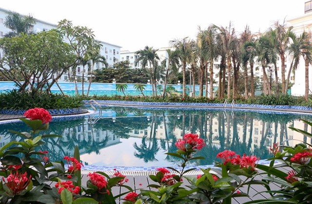 Bể bơi ngoài trời xanh mát cũng được bao bọc bởi các cây xanh, hoa lá giúp cư dân thư giãn mỗi ngày. 