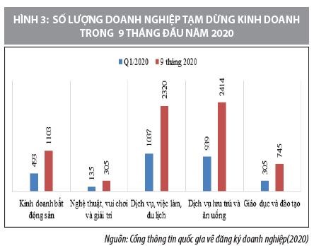 Đánh giá tác động của đại dịch Covid-19 đến các doanh nghiệp Việt Nam - Ảnh 2
