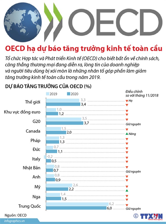 [Infographic] OECD hạ dự báo tăng trưởng kinh tế toàn cầu - Ảnh 1
