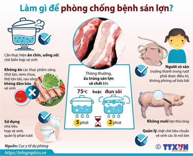 [Infographic] Làm gì để phòng chống bệnh sán lợn? - Ảnh 1