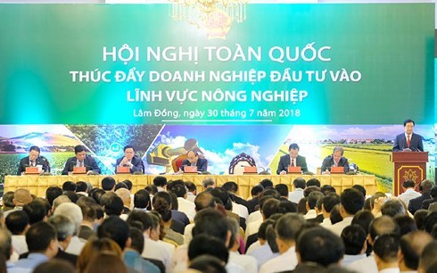 Tháo gỡ khó khăn, thu hút doanh nghiệp đầu tư vào lĩnh vực nông nghiệp - Ảnh 1