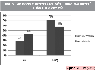 Phát triển nguồn nhân lực thương mại điện tử trong bối cảnh cuộc cách mạng công nghiệp 4.0 - Ảnh 3